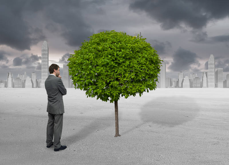 Generically, how to address Climate Change in your Quality Management System
